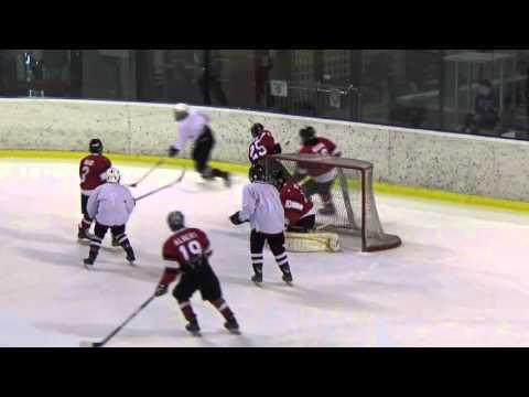 50. 2016 WSI 02 Playoffs #5 DraftDay - #12 Latvia