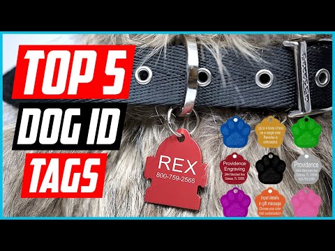 ✅Top 5 Best Dog ID Tags Reviews In 2024