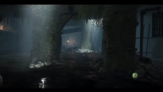 #WH The End Times: Vermintide PV (Wheat & Chaff and The Enemy Below) heavily edited Xbox playthrough