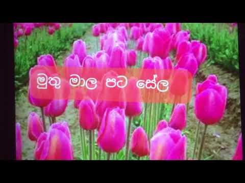 muthu mala  patasela