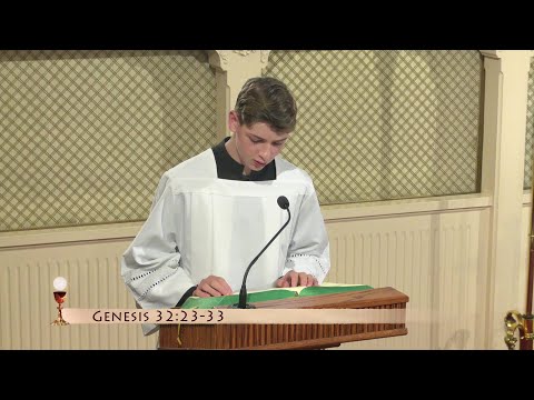 Daily Readings and Homily - 2023-07-11 - Fr. Joseph
