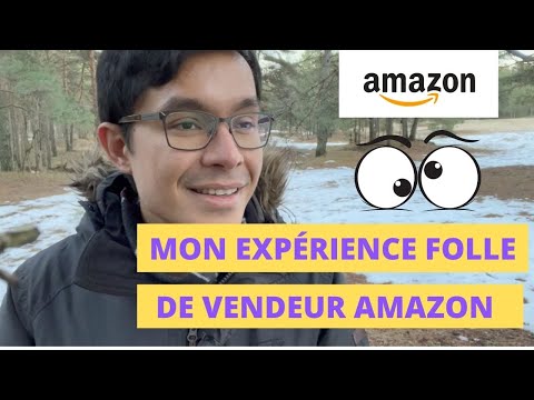 , title : 'Mon expérience folle de Vendeur sur Amazon (pourquoi j'ai arrêté Amazon après 150 000€ de CA)'