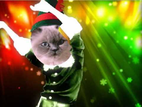 Kylie and dancing cats (Martika and Caitlin)