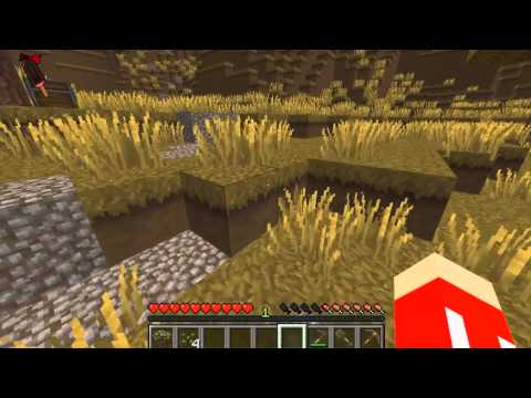 Minecraft 1.8.1. | Svět Nakashi | Mimozemšťani?!