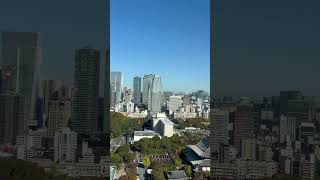 The 33rd Floor of the Prince Park Tower Hotel Tokyo - November 2023 (3): Tokyo tower and Sky Tree