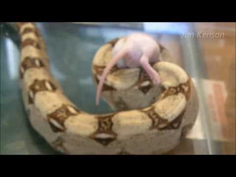 YouTube Video b04pUqayXXo