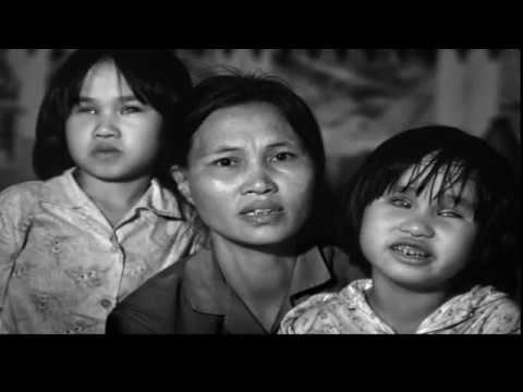 Da cam - Lil' Knight