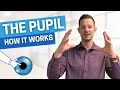 HOW IT WORKS - The Pupil