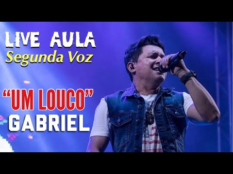 Um Louco (ver. 2) - Zé Henrique e Gabriel