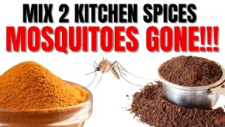 NO MOSQUITOES EVER | MIX THESE 2 SPICES | GUARANTEED