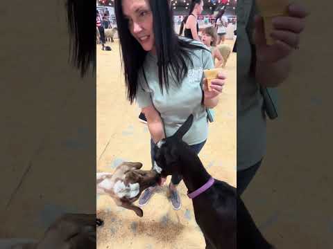 CDT at the @TulsaStateFairOK ft. @MatthewWestOfficial