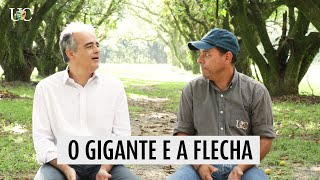 Miniatura do vídeo