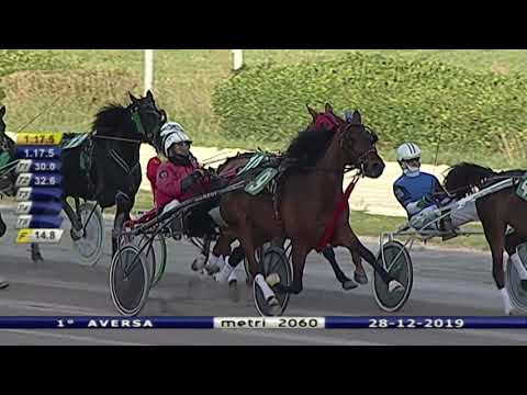 Aversa trotto 28 Dicembre 2019 - 1° Corsa