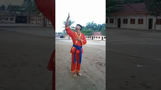 Download lagu SIKAP PERGURUAN TAPAK SUCI mp3