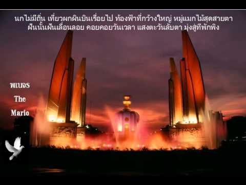 คลิกเพื่อดูคลิปวิดีโอ