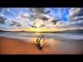 Omnimotion - Underdub 