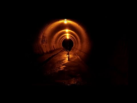 Jogo do Joca - Miguelvis