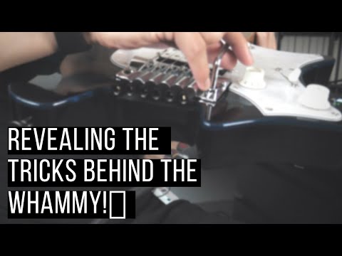 PHRASING ESSENTIALS 4.0 - Using the Whammy