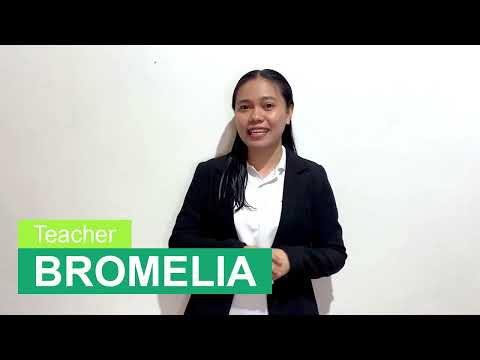 Bromeliaのプロフィール動画
