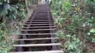 CAN WE GO HIGHER!!!!