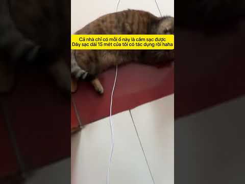 Mỗi lần sạc là như đi thi chạy