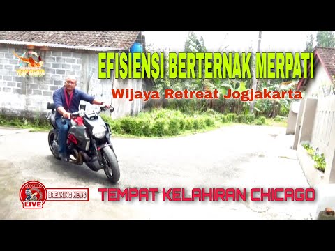 , title : 'PART 1, EFISIENSI BERTERNAK MERPATI  WIJAYA RETREAT'