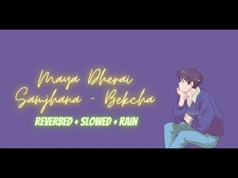 MAYA DHERAI SAMJHANA | Slowed + Reverb + Rain | - Bekcha
