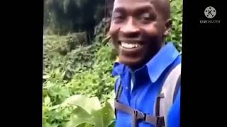 How to fix spin dryer (not spinning) step by step