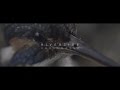 About Wayne - Riverside (Official Video) 