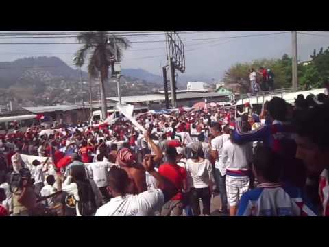 "Campeón, Campeón" Barra: La Ultra Fiel • Club: Club Deportivo Olimpia • País: Honduras