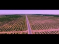 BLACK BEATLES VIDEO