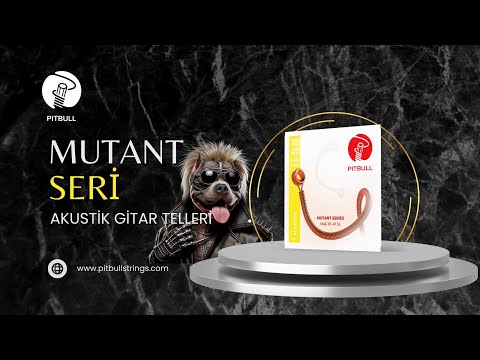 Pitbull Mutant Seri Akustik Gitar Telleri Video
