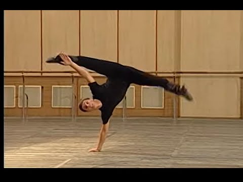 Virsky dance lexicon (2020s)