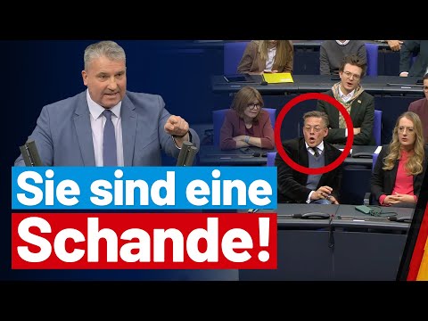 Martin Hess takes on Green Party member von Notz❗️ - AfD parliamentary group in the Bundestag