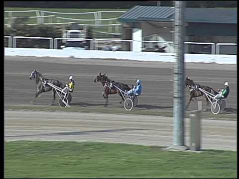 Trotto 29/04/2016 - prova di qualifica