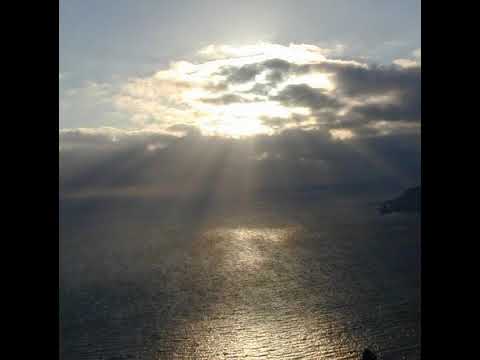 LTG-Pettis @ Wildcats (2022.06.11)