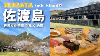 【2026最新】新潟佐渡旅がとにかく最高すぎた🇯🇵