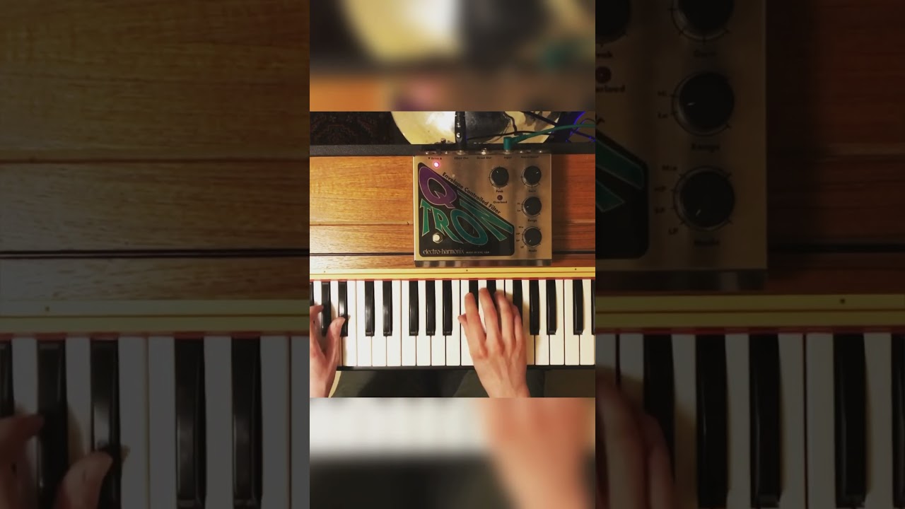 Funky Duck on the Clavinet D6 🦆🎹✨