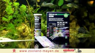 preview picture of video 'JBL ProScan - WASSERWERTE PER SMARTPHONE TESTEN - zooland-mayen.de'