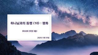 하나님과의 동행 (10) : 평화