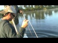 Corey Alligator Hunt 2011 10 8 Heavy