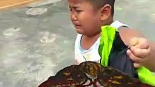 Download lagu Singo barong ngamuk mp3