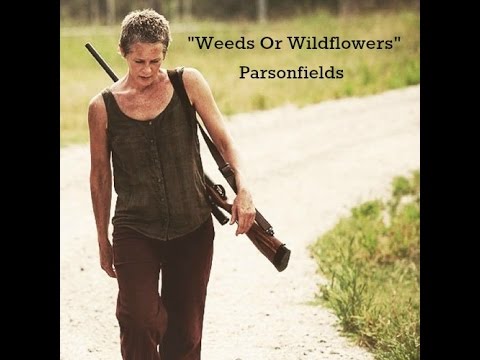 Weeds Or Wildflowers (Lyrics) - Parsonsfield