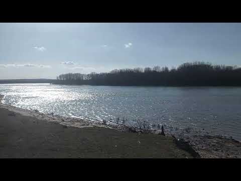 The small "delta" of Gârla Mare