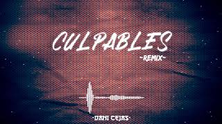 CULPABLES [Remix] - Anuel Aa x Karol G x Dani Cejas