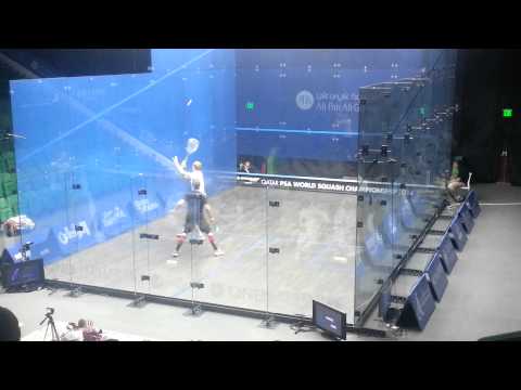 Nick Matthew vs Gregoire Marche, 17th Nov 2014