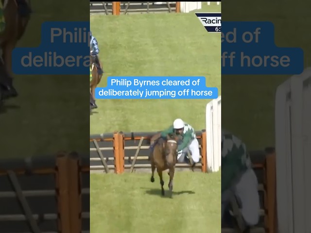 Thumbnail for Post ID: b0CZFmfuuTU