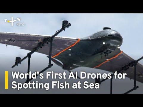 World's First AI Drone System for Spotting Fish at Sea | TaiwanPlus News
