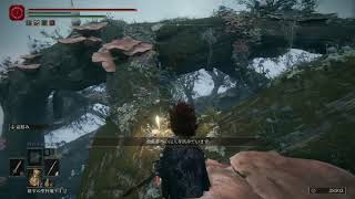 【ELDEN RING】初見エルデン本日もやってくッッ【エルデン リング】