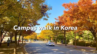 Relaxing walk in Korea: autumn foliage at the uni campus (natural sounds, soothing background music)